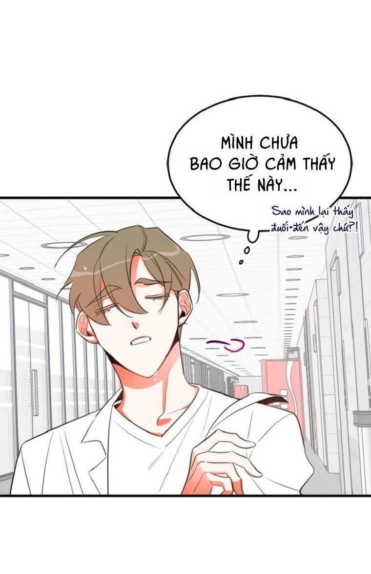 Đọc truyện Có Chuyện Gì Xảy Ra với Sự Nổi Tiếng Của Tôi Thế? - Chapter 17