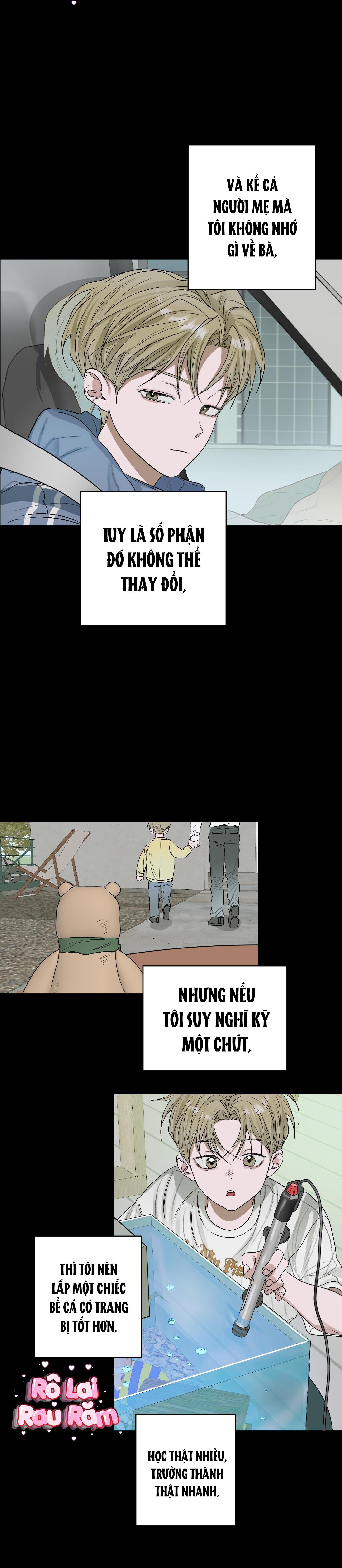 Đọc truyện  Đầm Hoa Sen - Chapter 27