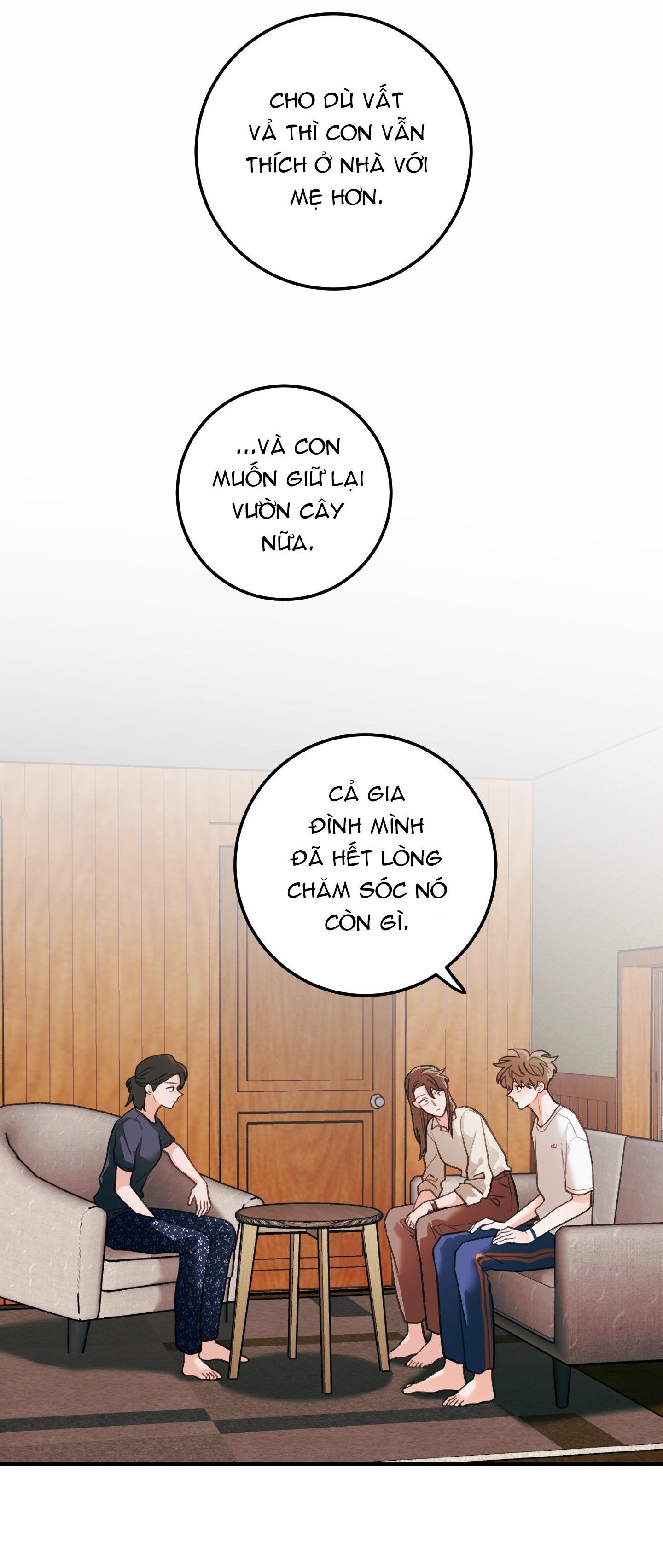 Đọc truyện CHUYỆN TÌNH HOA LÊ NỞ - Chapter 75