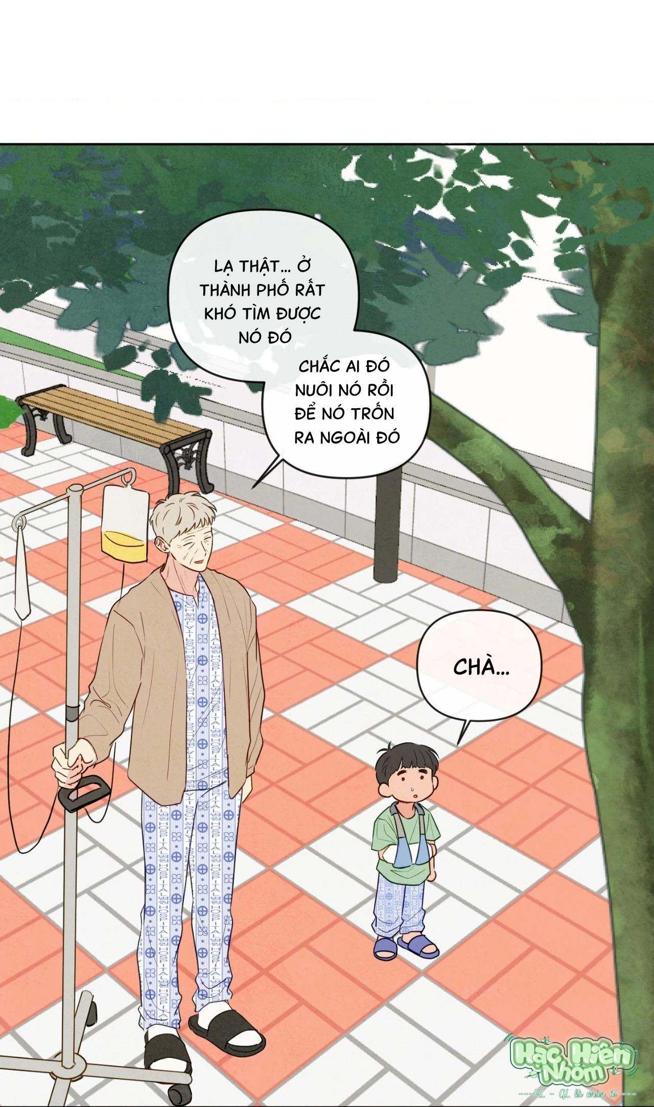 Đọc truyện Sự quyến rũ của Thần Rắn - Chapter 20