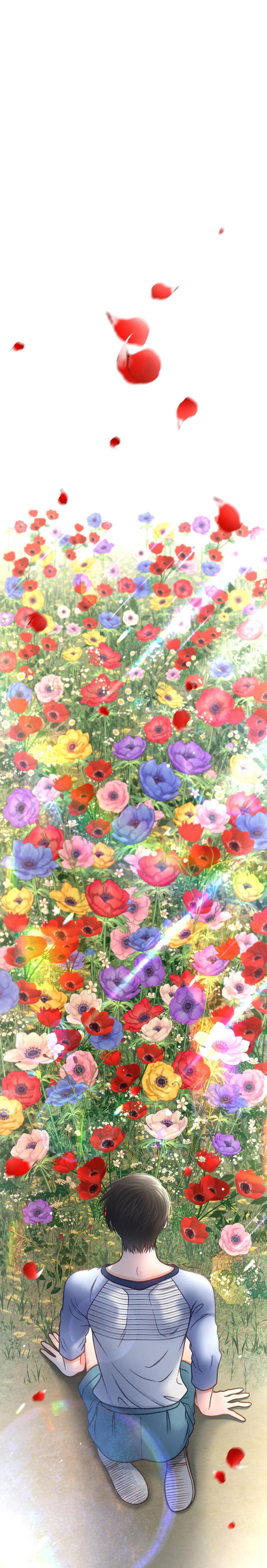 Đọc truyện RẠP CHIẾU PHIM ANEMONE - Chapter 49