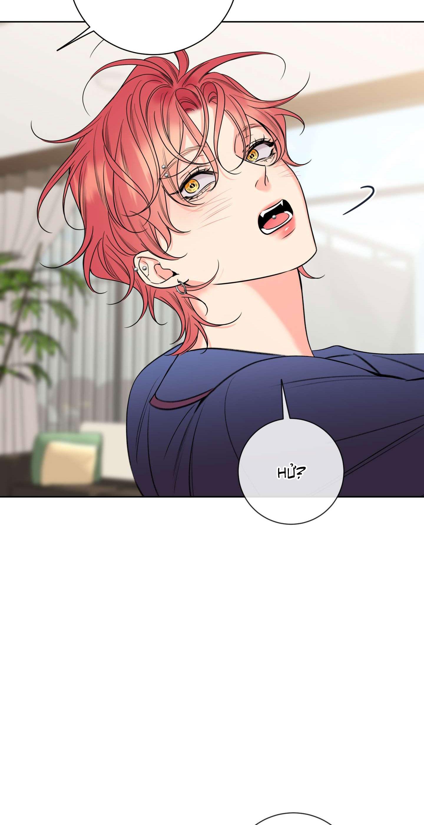 Đọc truyện HONEY TROUBLE - Chapter 37