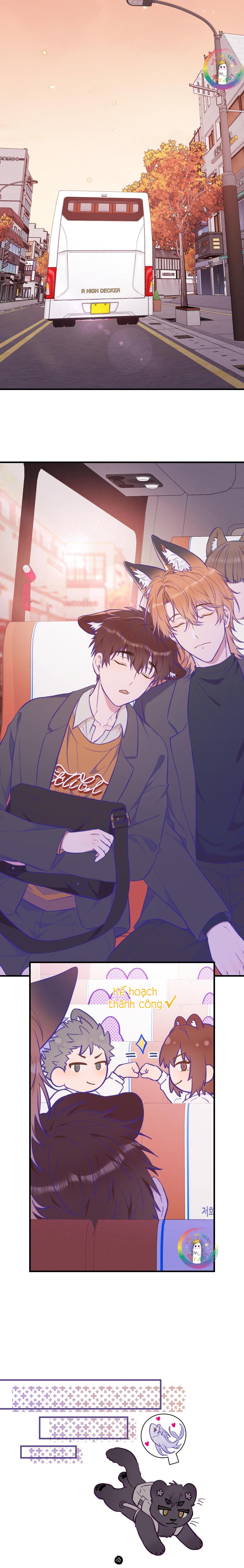 Đọc truyện Cún Con Nói Dối Sẽ Bị Ăn Thịt - Chapter 19