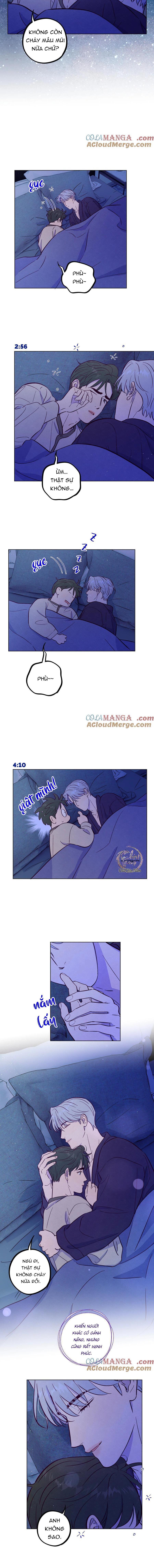 Đọc truyện Giăng Bẫy Bác Sĩ Hồ Ly - Chapter 107