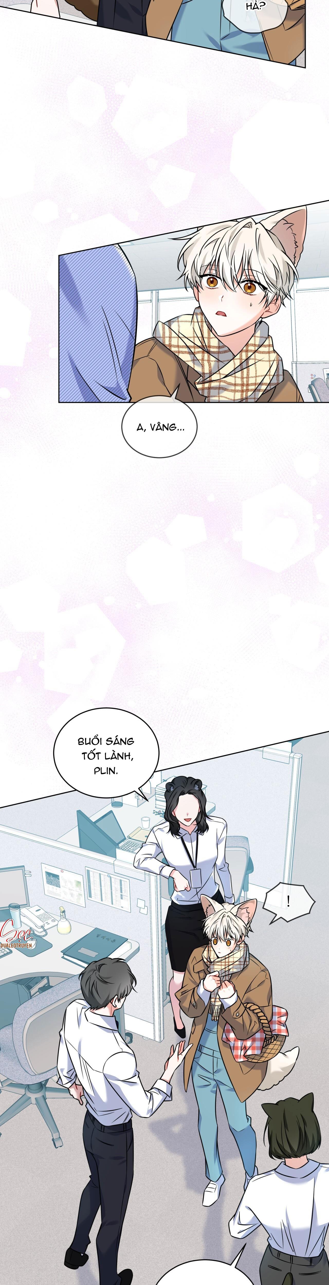 Đọc truyện NƯỚC UỐNG TÌNH YÊU CỦA CÁO PLIN - Chapter 11