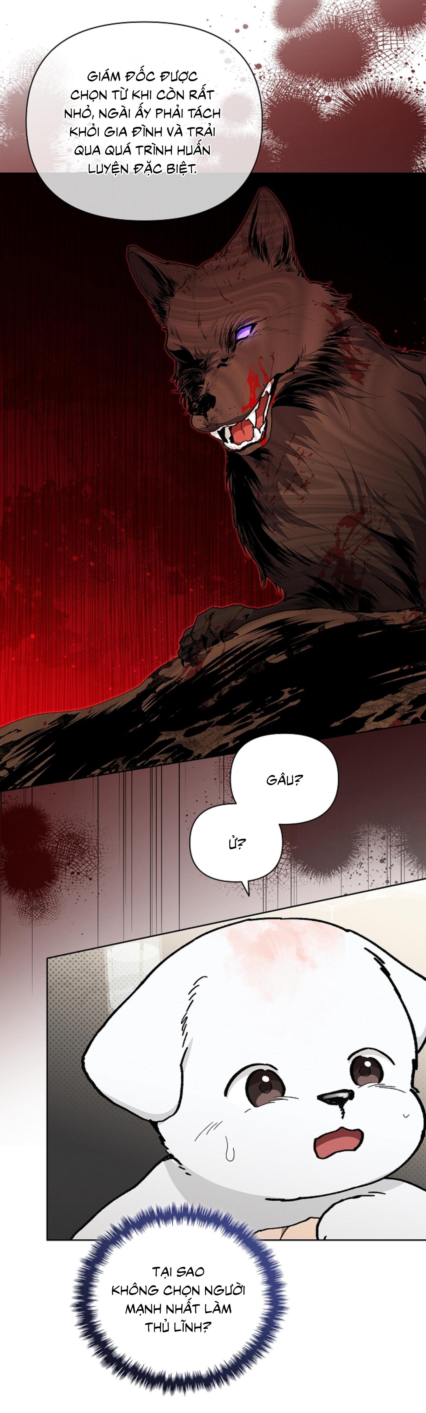 Đọc truyện ĐỪNG ĐỘNG VÀO CÚN CON! - Chapter 11