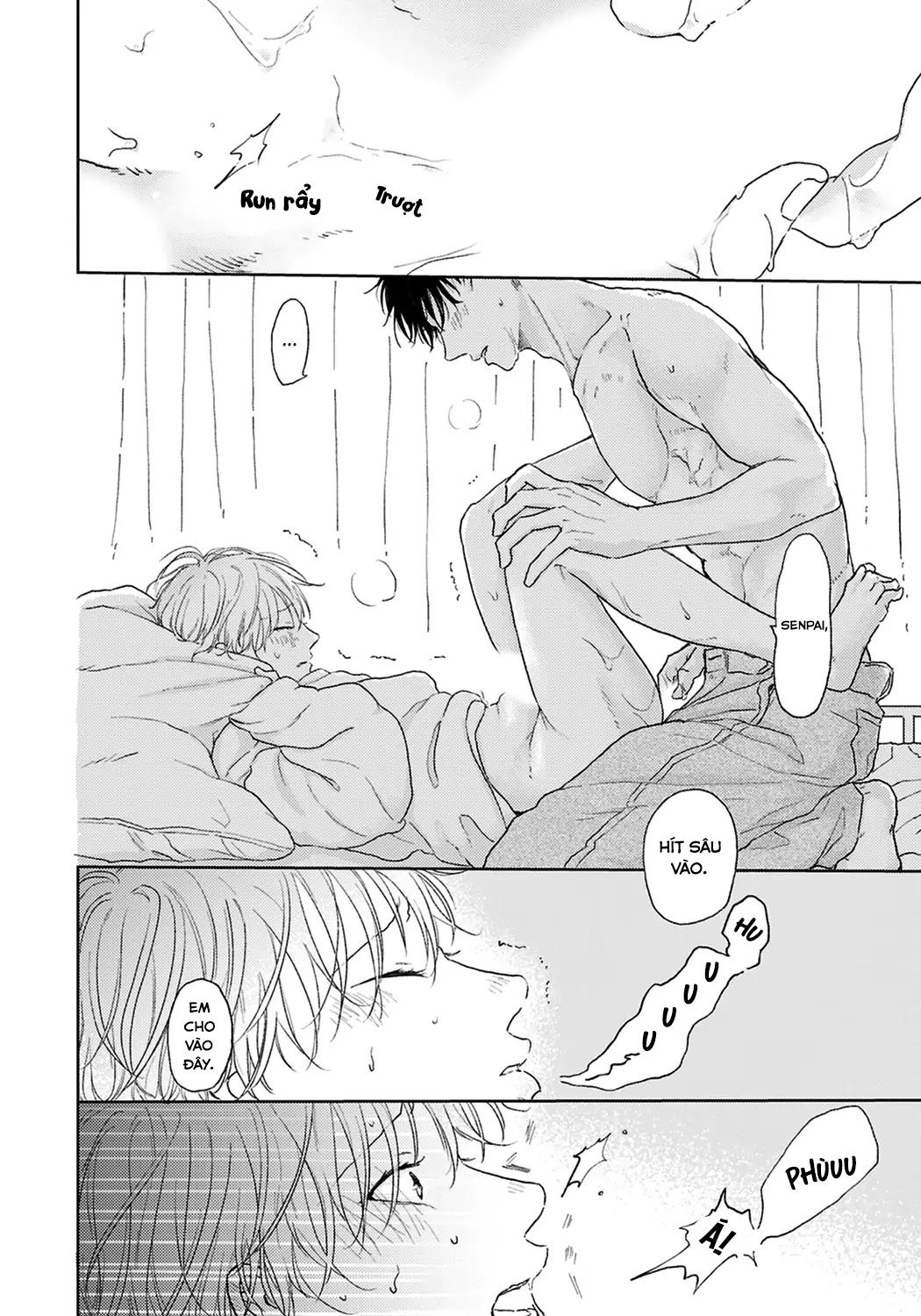 Đọc truyện Đợi Chút Đã, Harutora-kun (END) - Chapter 4