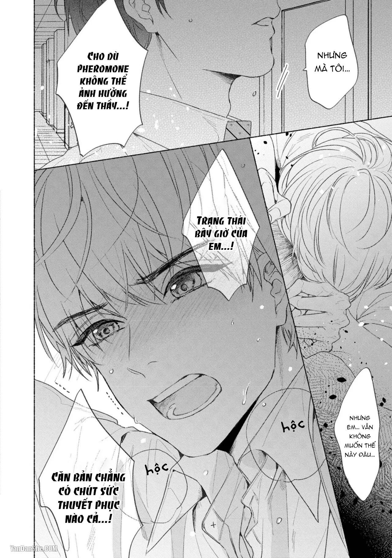 Đọc truyện Thầy à, em không thể chịu đựng được nữa - Chapter 3