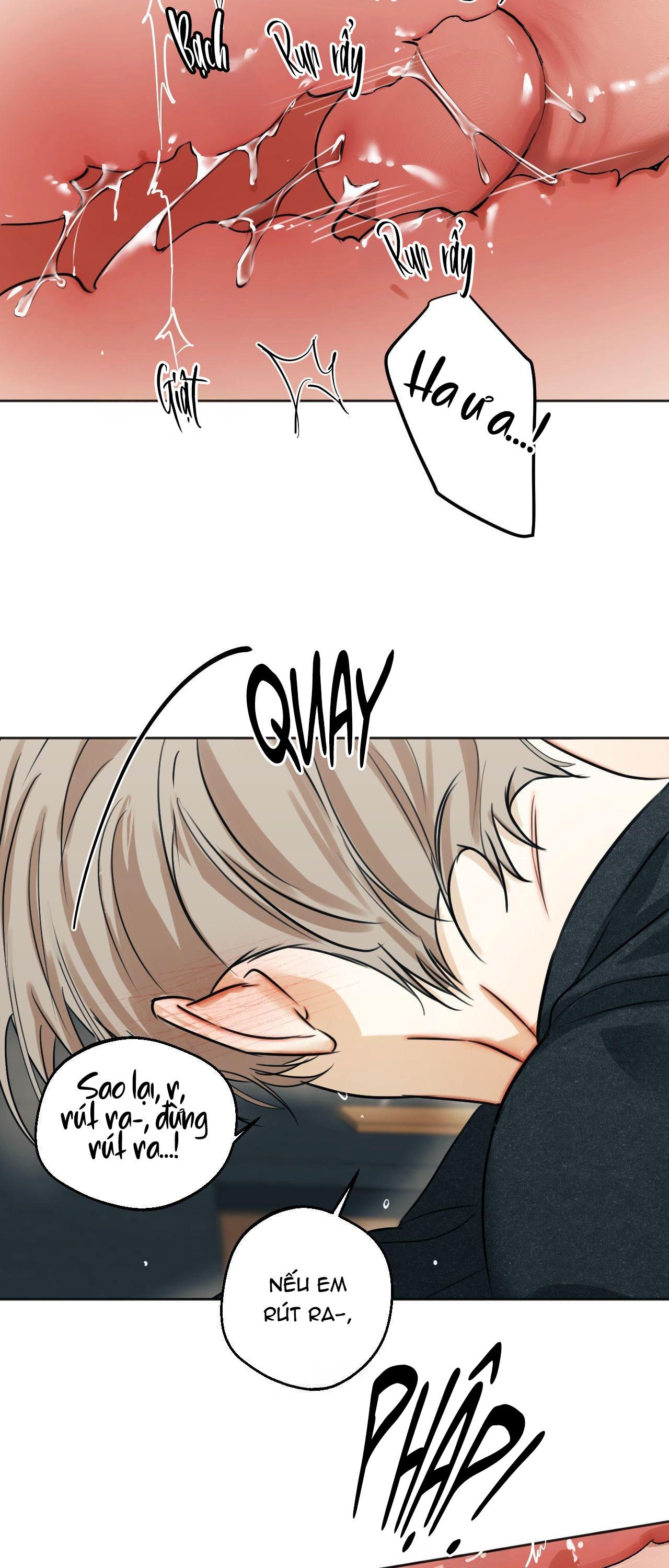 Đọc truyện ÁI TÌNH VÀ DỤC VỌNG - Chapter 51