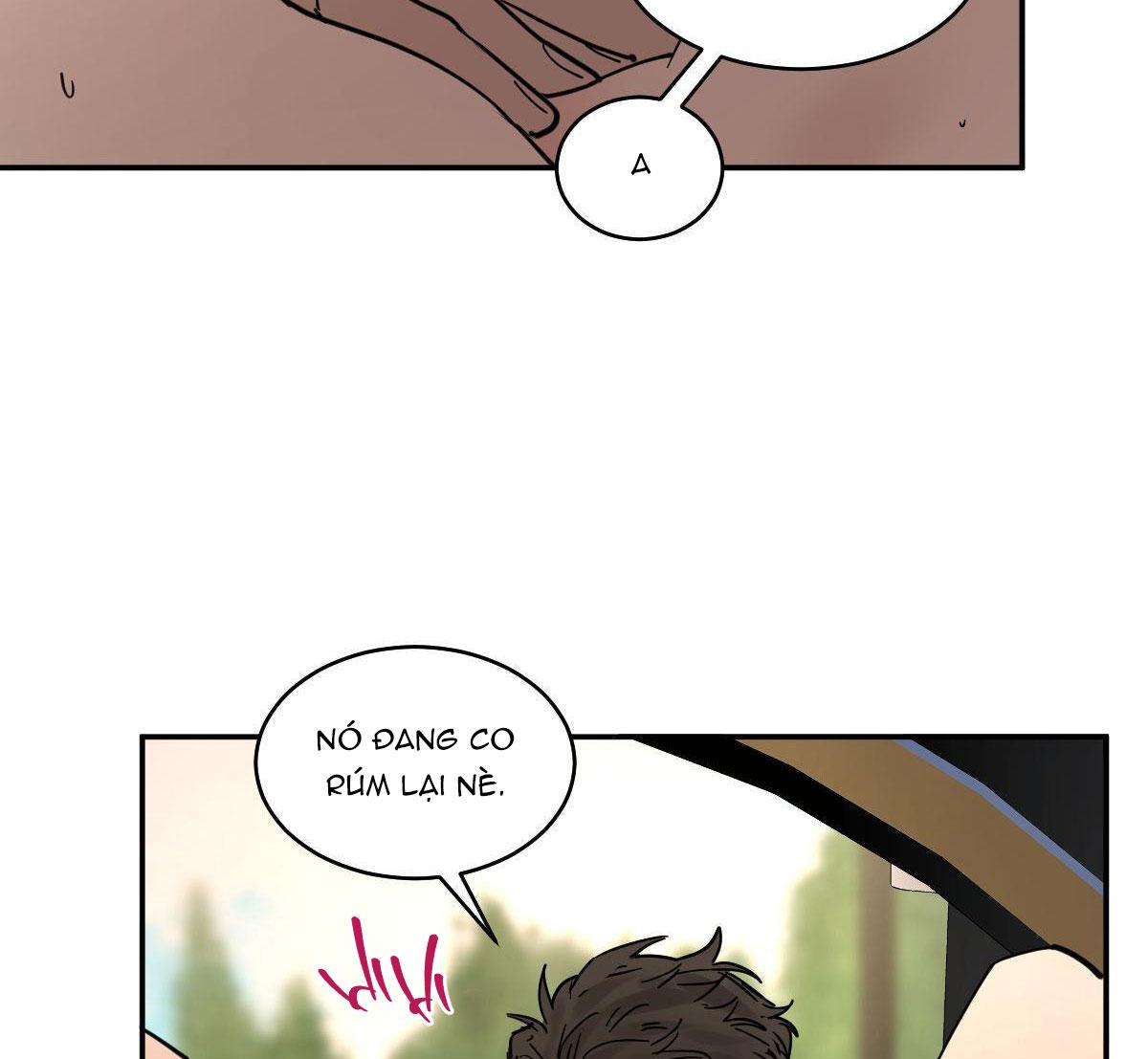 Đọc truyện MÃNH THÚ BIẾN NHIỆT - Chapter 104