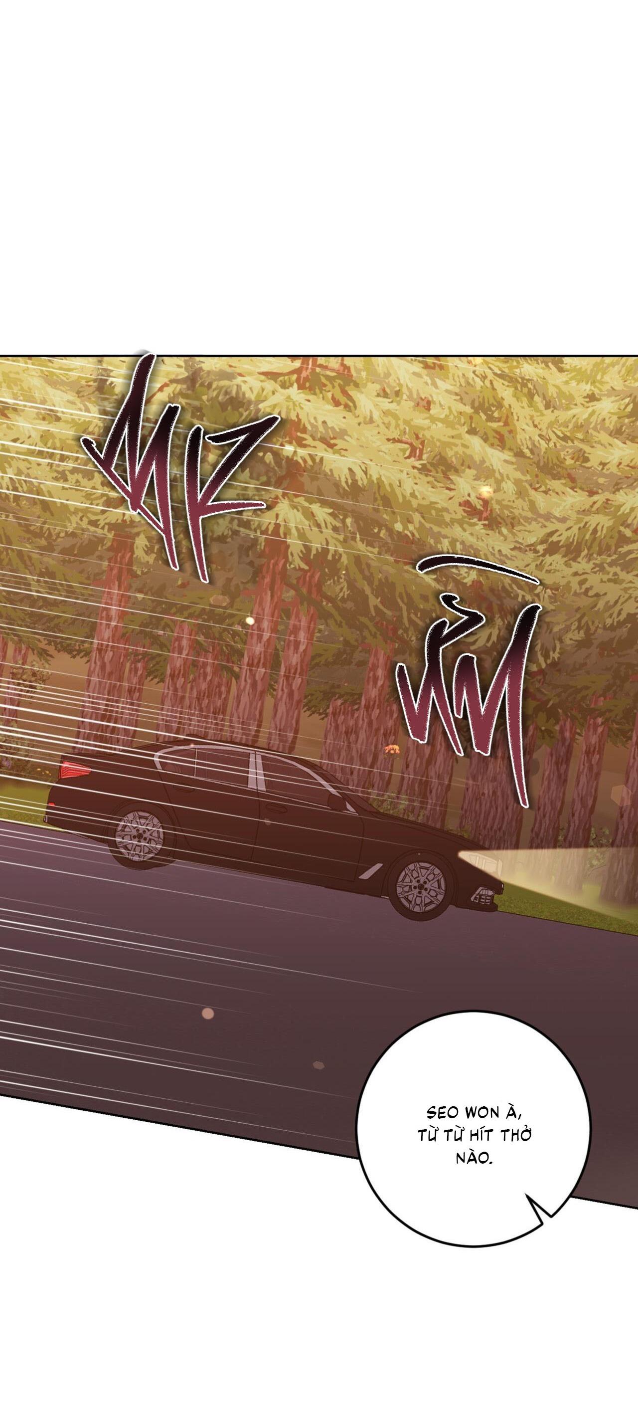Đọc truyện Khu Rừng Tĩnh Lặng - Chapter 52