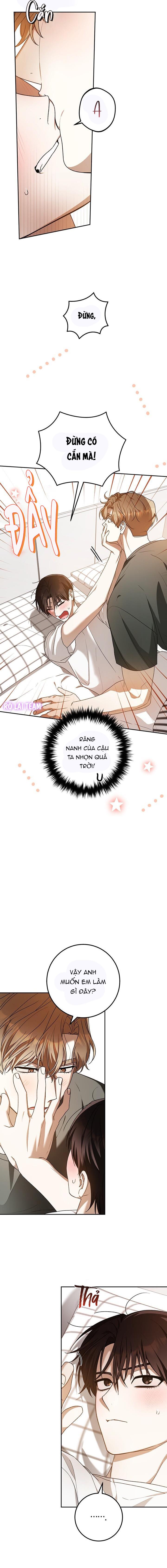 Đọc truyện CÚ ĐẤM NETKAMA - Chapter 76