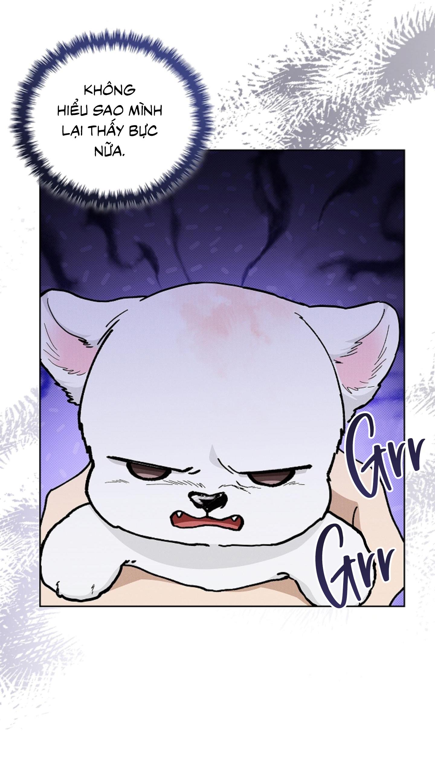 Đọc truyện ĐỪNG ĐỘNG VÀO CÚN CON! - Chapter 11
