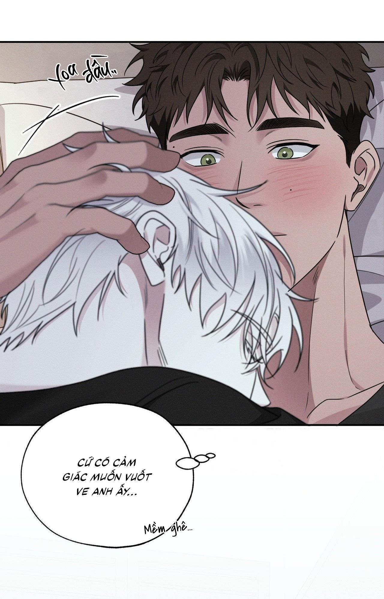 Đọc truyện Đầm Lầy Của Nhân Ngư - Chapter 11