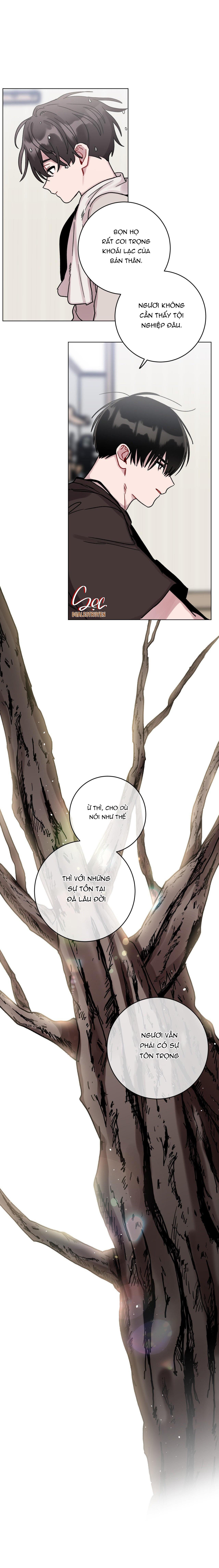 Đọc truyện CƠN MƯA RÀO MÙA HẠ - Chapter 63
