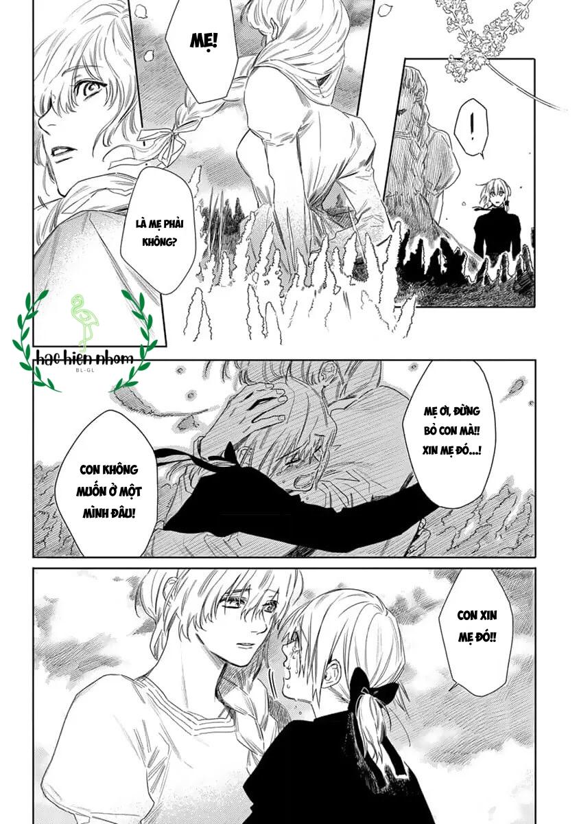 Đọc truyện Hoa hồng dại và những kẻ giả tạo - Chapter 7