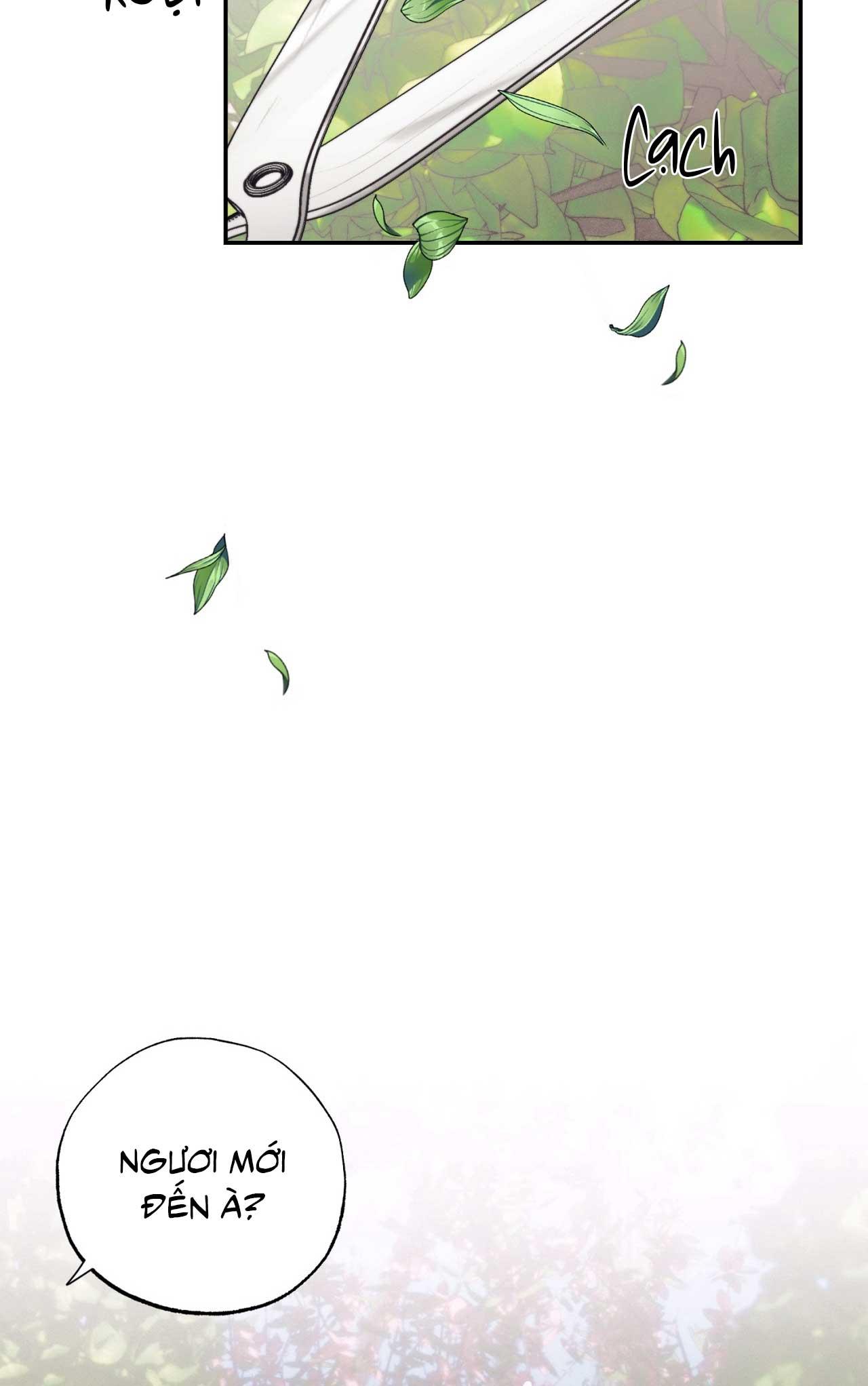 Đọc truyện KHU VƯỜN CỦA ESTHER - Chapter 0