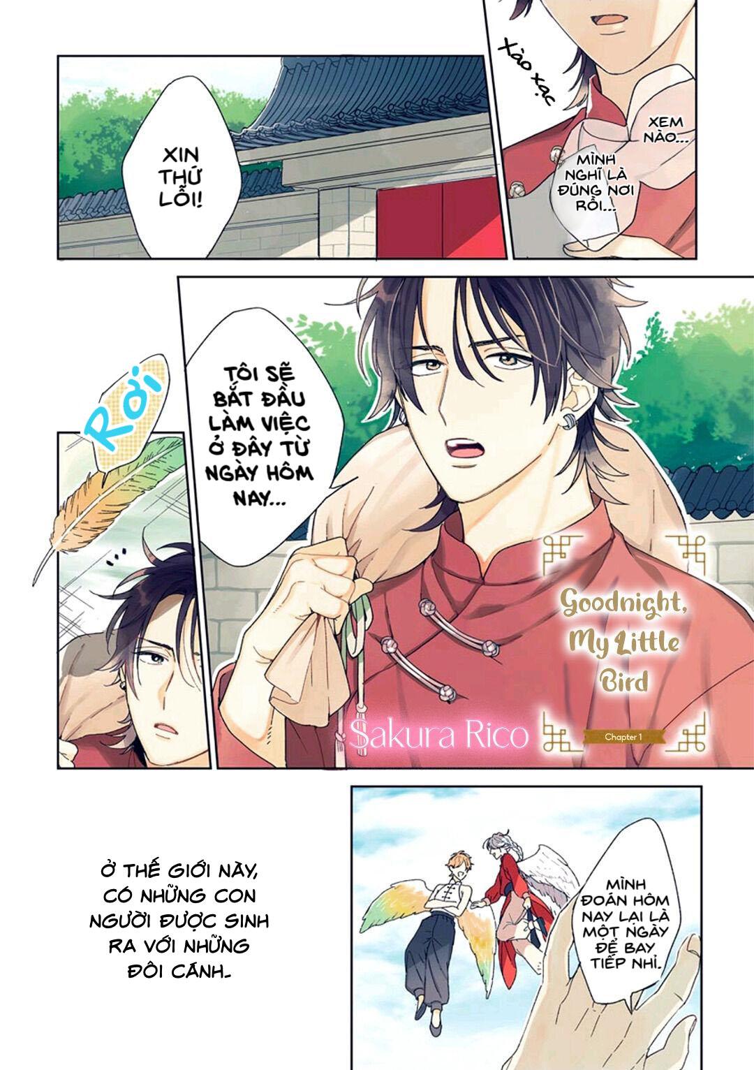 Đọc truyện Ngủ ngon nhé, chú chim nhỏ của tôi - Chapter 1