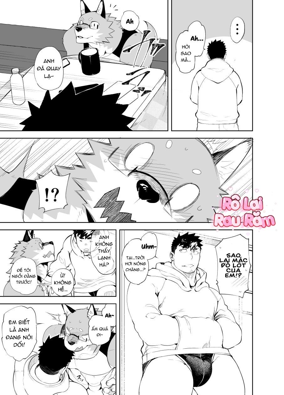 Đọc truyện Oneshot Hỏny Nhà Rô Lai - Chapter 327