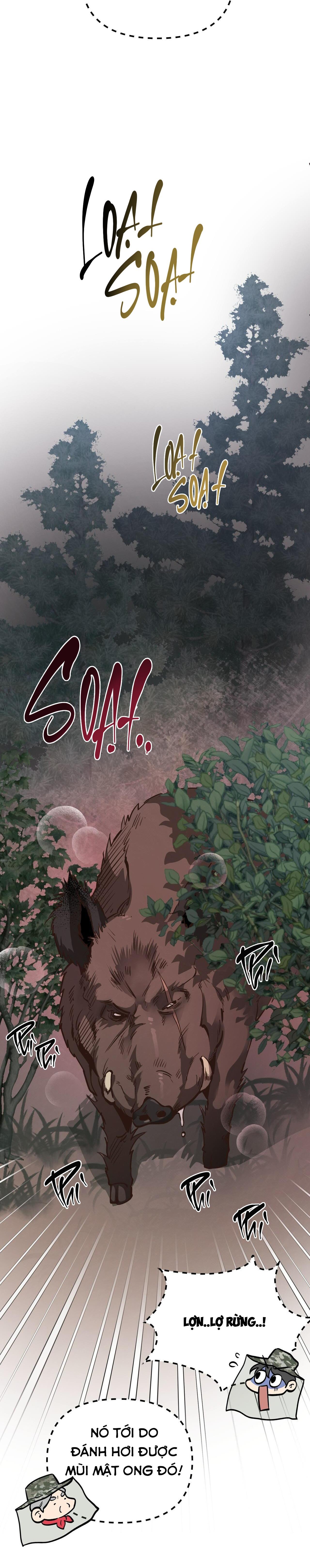 Đọc truyện (END) MẬT GẤU - Chapter 55