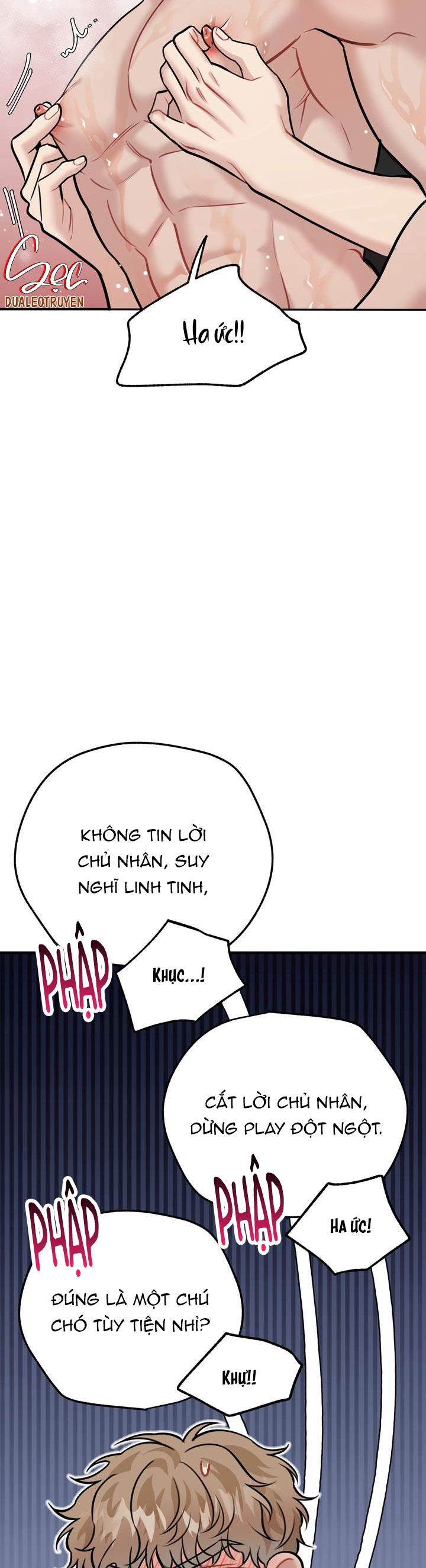 Đọc truyện HƯỚNG DẪN BDSM CƠ BẢN - Chapter 20