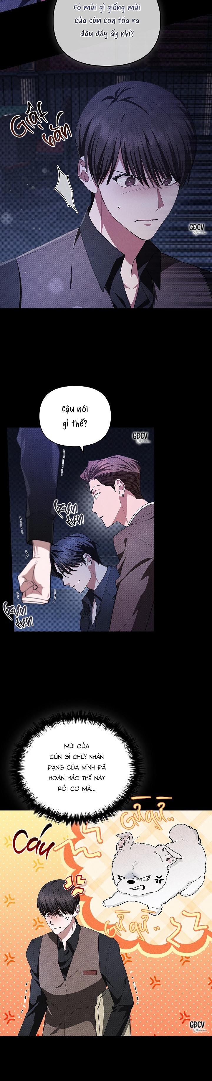 Đọc truyện ĐỪNG CHẠM VÀO CÚN CON CỦA TÔI - Chapter 1