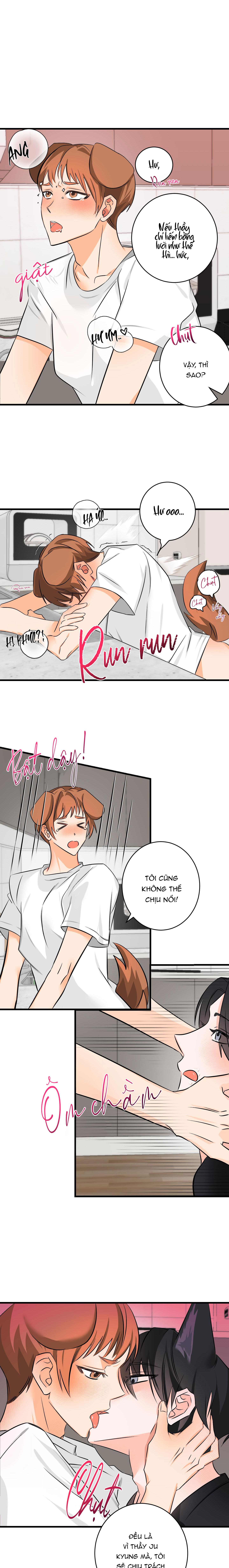 Đọc truyện TUYỂN TẬP BL THÚ NHÂN VÀ XÚC TU - Chapter 10.6