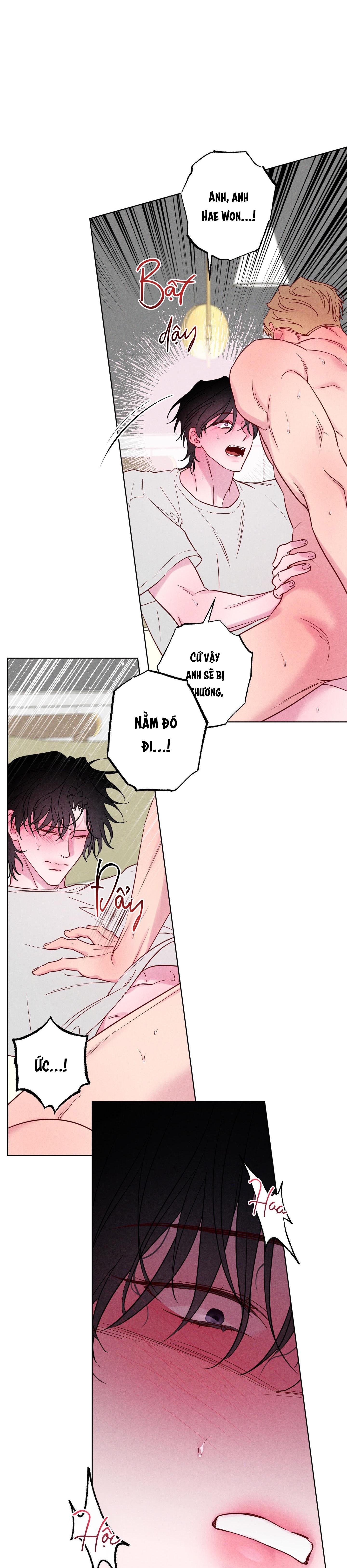 Đọc truyện BỜ SÓNG VỖ - Chapter 21