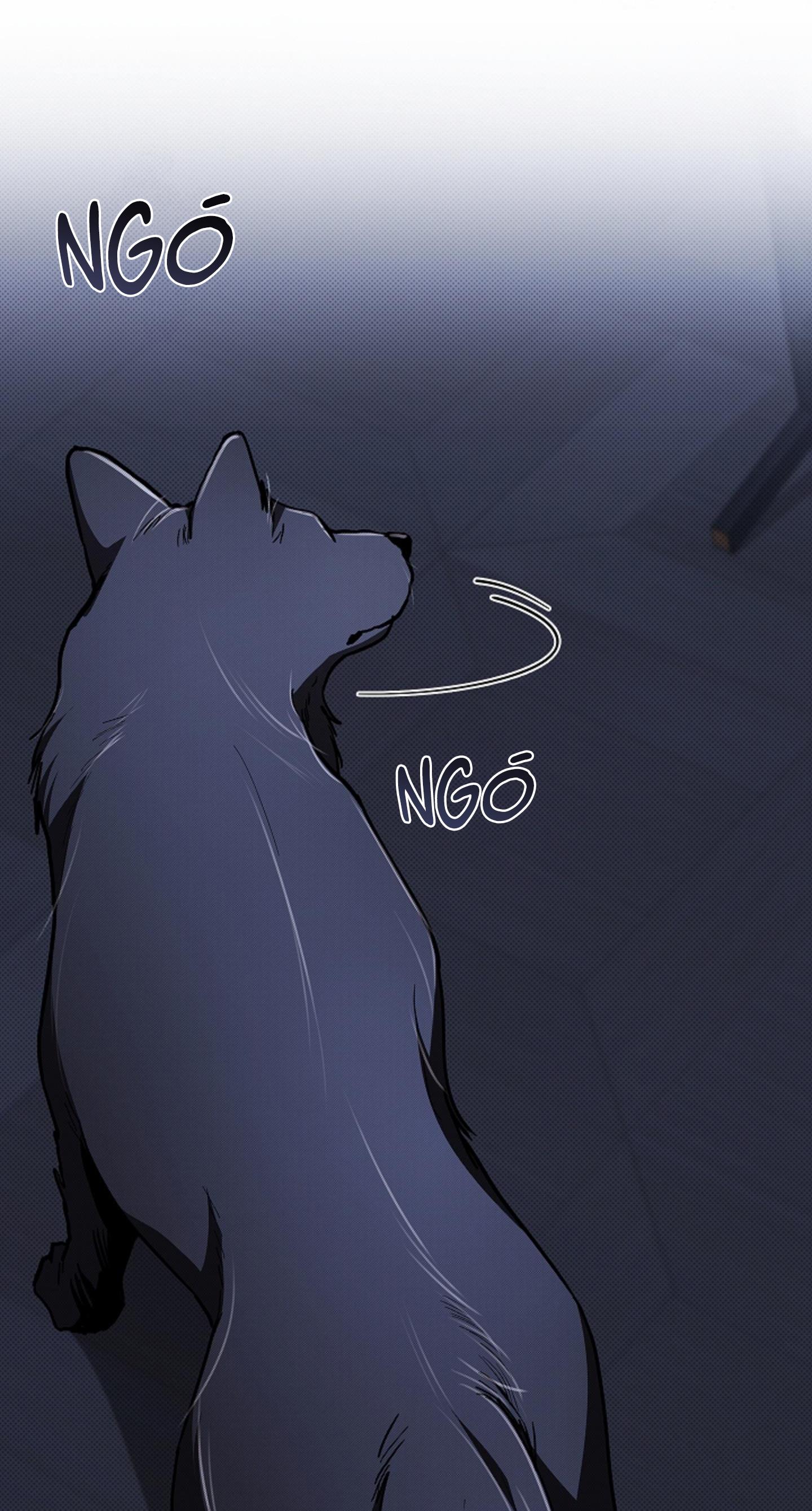 Đọc truyện ĐỪNG ĐỘNG VÀO CÚN CON! - Chapter 19