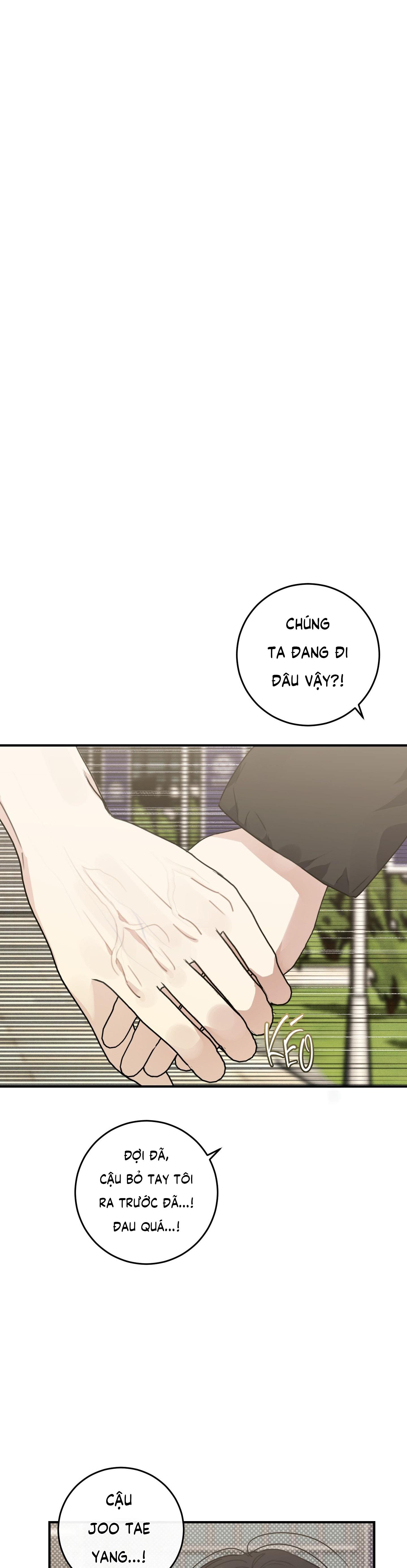 Đọc truyện QUAN HỆ CỘNG SINH CỦA MẶT TRĂNG VÀ MẶT TRỜI - Chapter 11