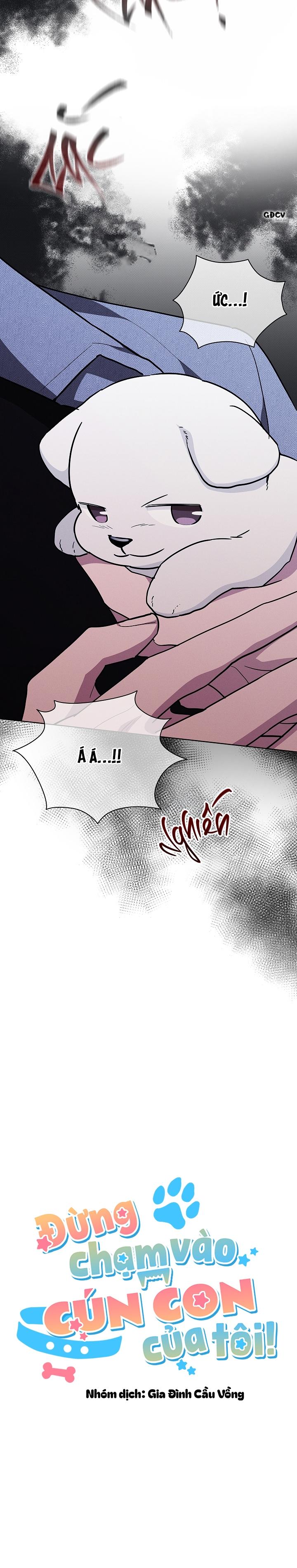 Đọc truyện ĐỪNG CHẠM VÀO CÚN CON CỦA TÔI - Chapter 18