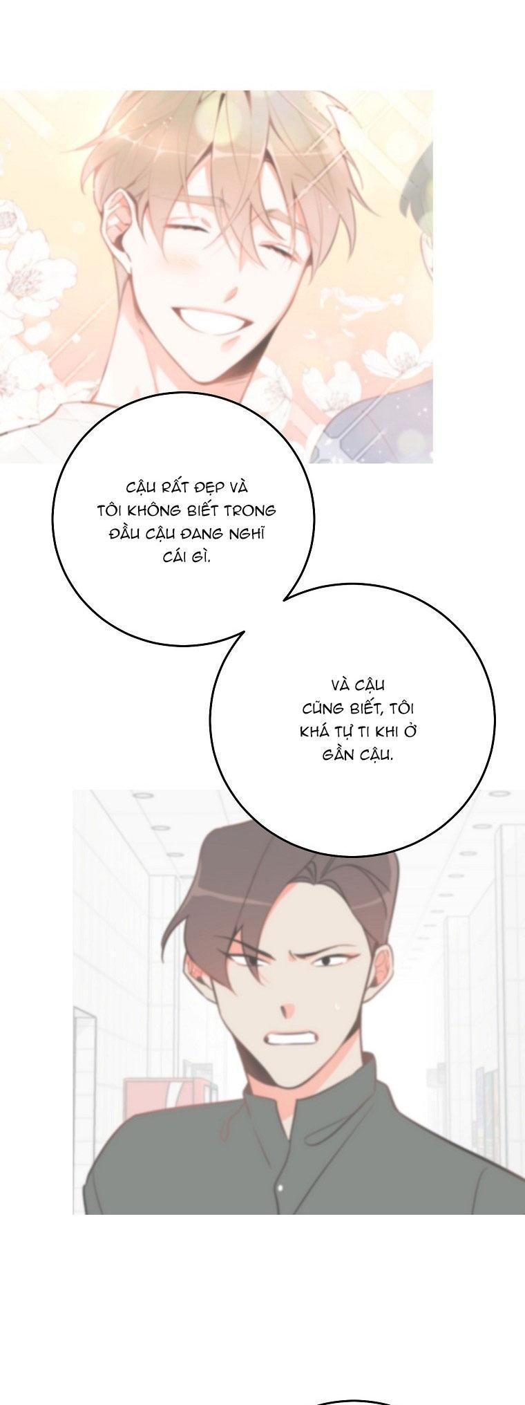 Đọc truyện Có Chuyện Gì Xảy Ra với Sự Nổi Tiếng Của Tôi Thế? - Chapter 82