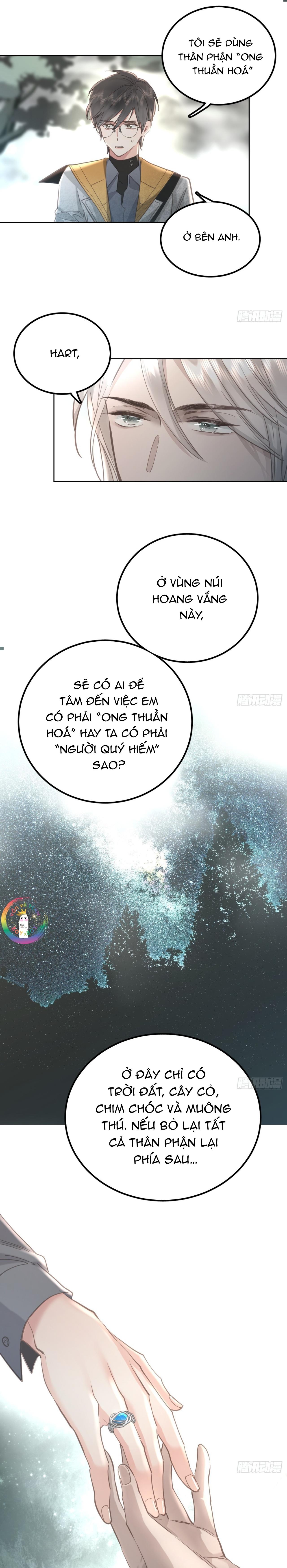 Đọc truyện Ong Thợ - Chapter 64