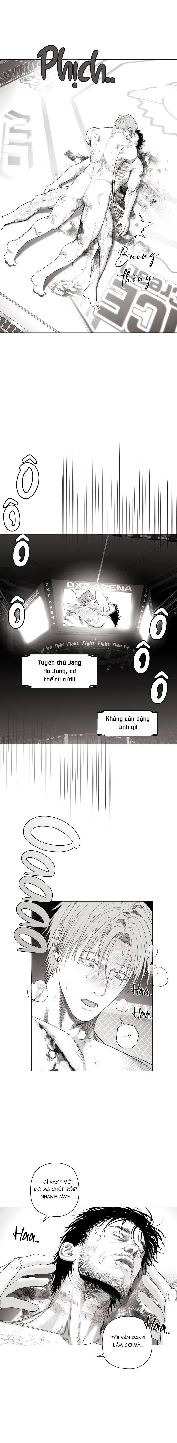 Đọc truyện NHÀ VÔ ĐỊCH NGOAN CƯỜNG - Chapter 11