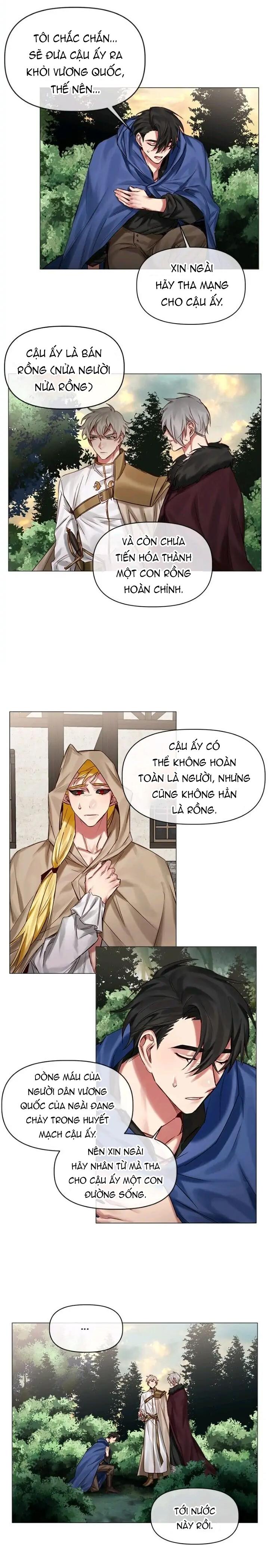 Đọc truyện [Hoàn] Chàng Hiệp Sĩ Và Rồng Vàng - Chapter 24