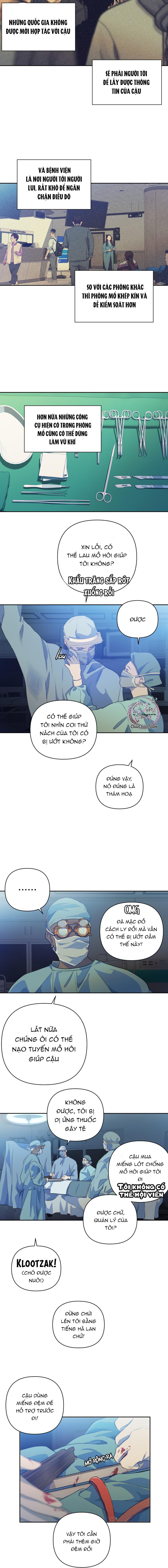 Đọc truyện Bao Nuôi Tiền Bối - Chapter 65