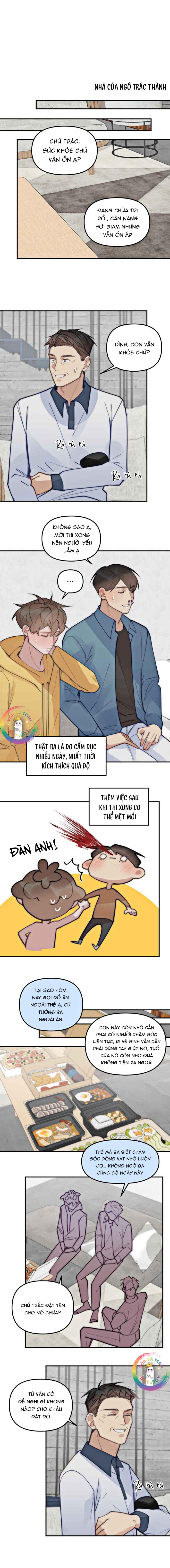 Đọc truyện (END) Đàn Anh Sói Ca Cùng Phòng Của Tôi - Chapter 75