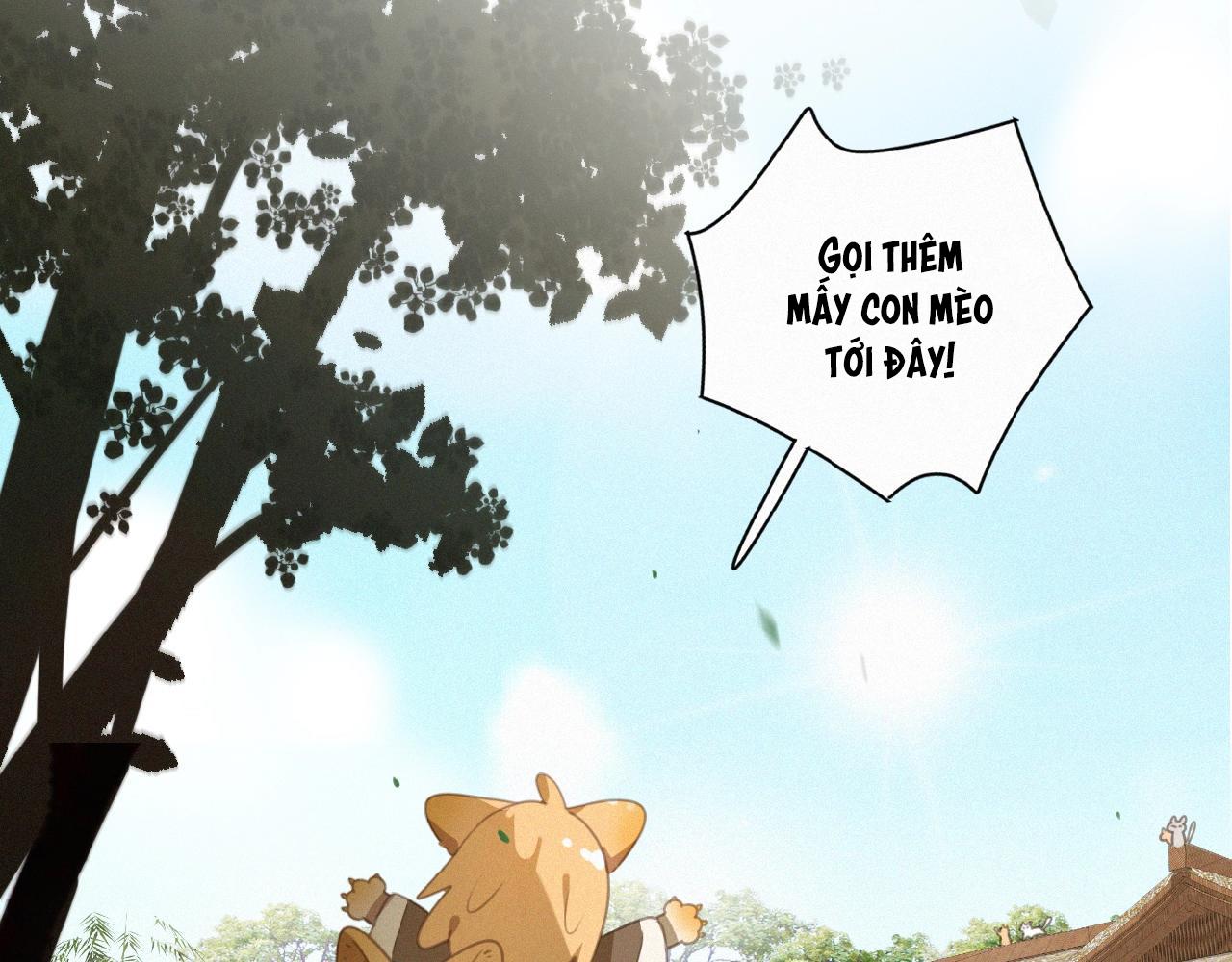 Đọc truyện Xã Hội Mồn Lèo - Chapter 65