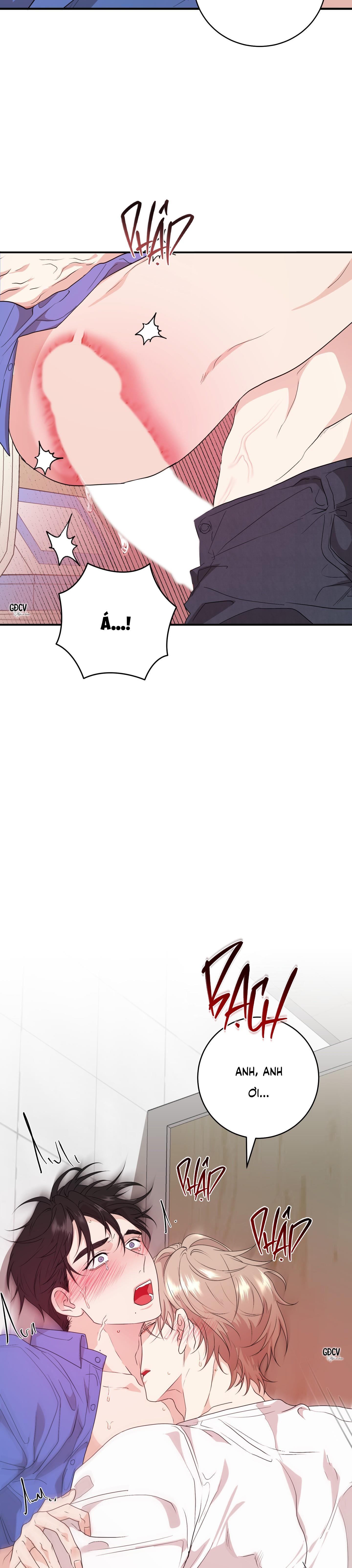 Đọc truyện SÁT THỦ TRINH TIẾT - Chapter 6