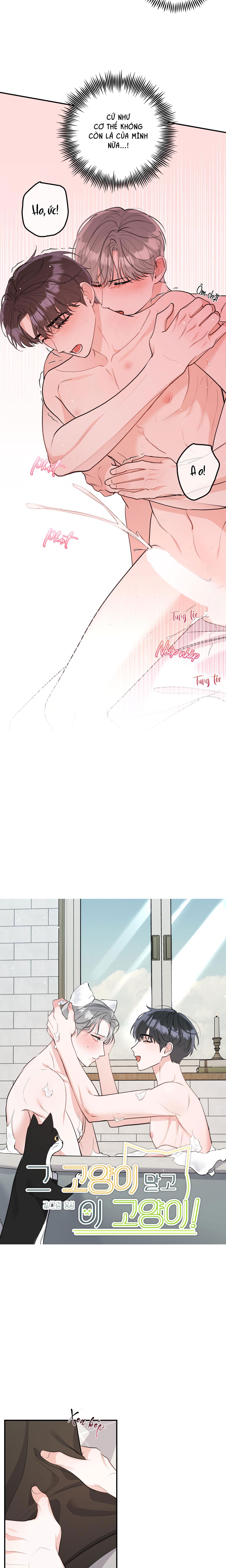 Đọc truyện TUYỂN TẬP TRUYỆN NGẮN HỎNY CỦA NHÀ SẸC - Chapter 62