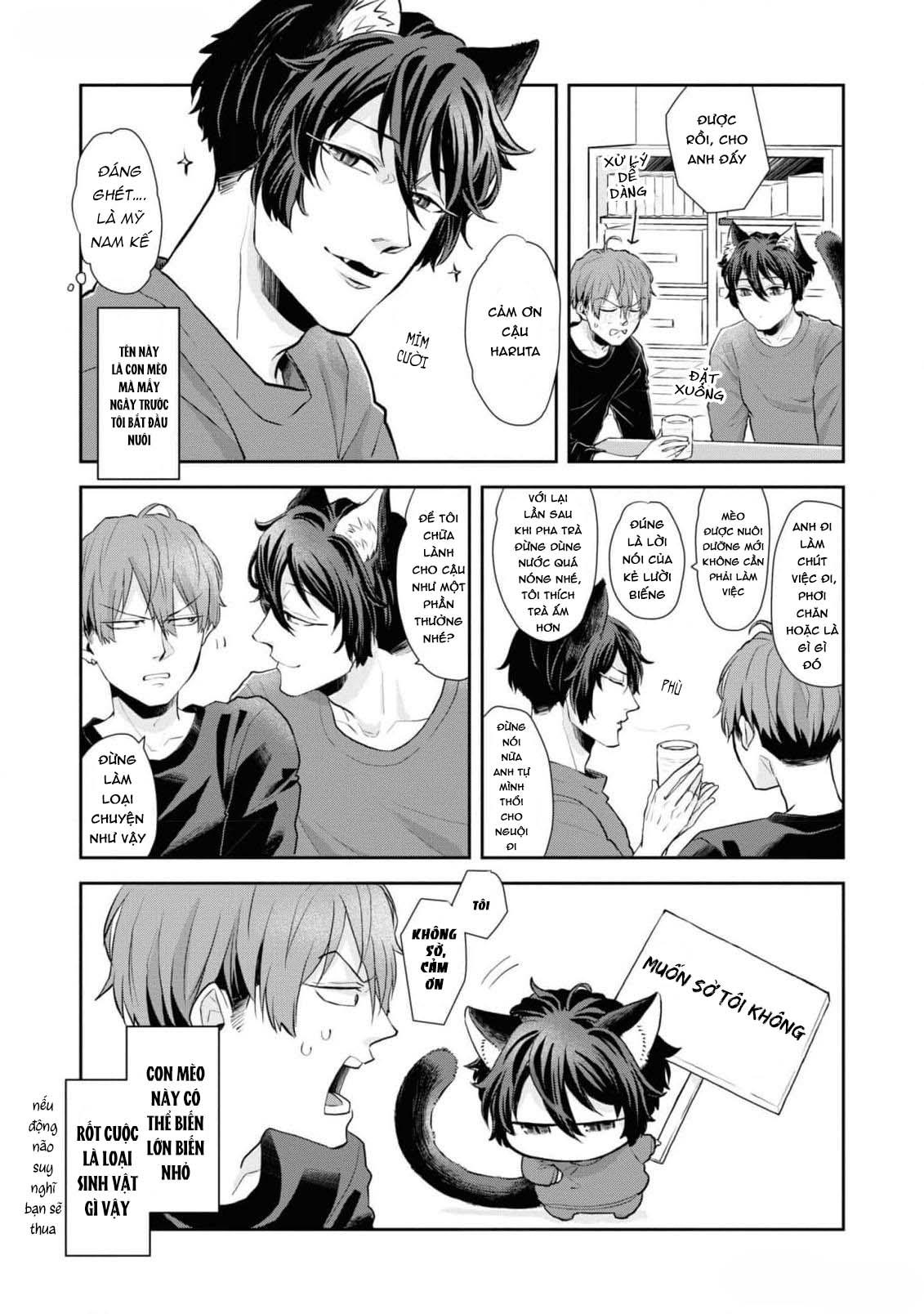 Đọc truyện Chú mèo đẹp trai muốn được Haruta nuôi dưỡng - Chapter 3