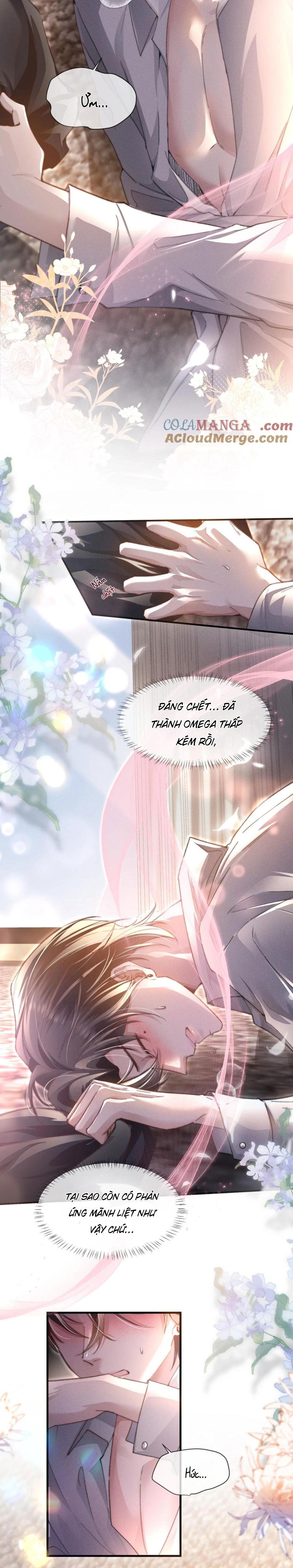 Đọc truyện Phép Tắc Nuôi Dưỡng Chó Điên - Chapter 11