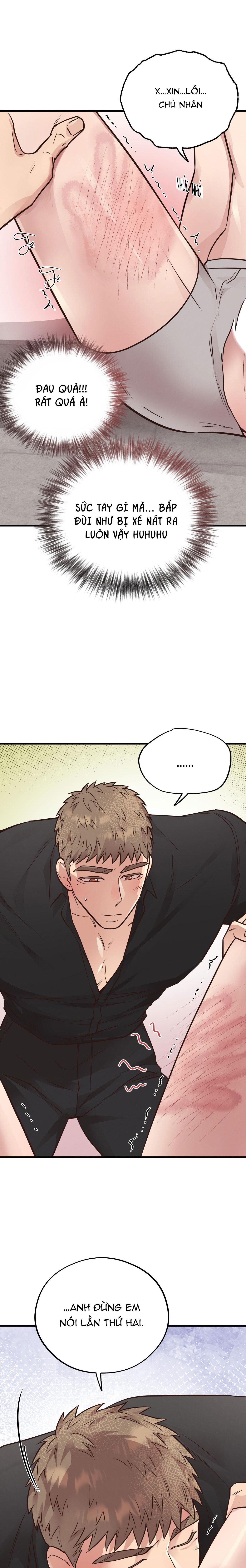 Đọc truyện HONEY BEAR - Chapter 41