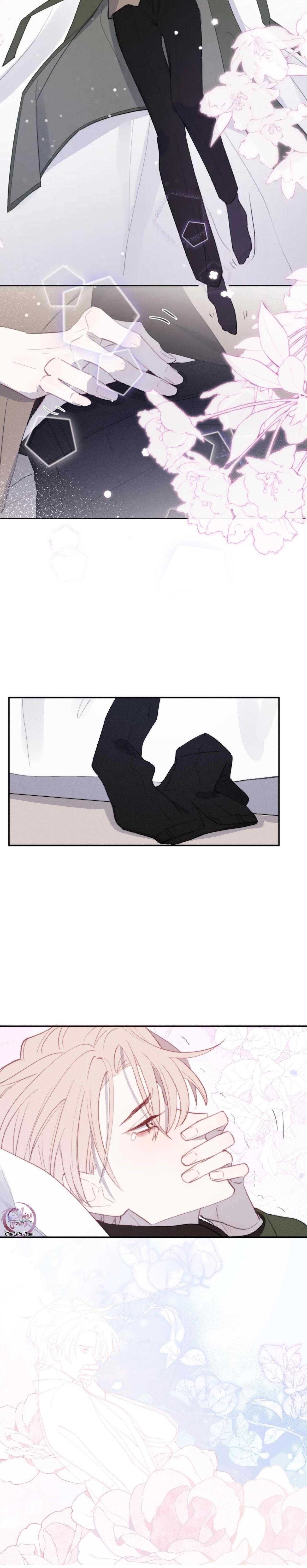 Đọc truyện Nhật Ký Thất Tình Của Mr.Nhung - Chapter 51