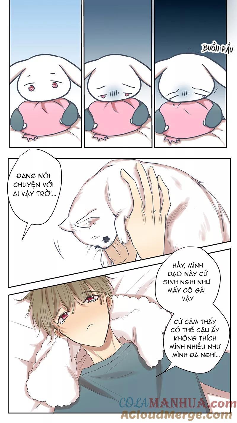 Đọc truyện Ghét Cậu Thích Cậu - Chapter 74