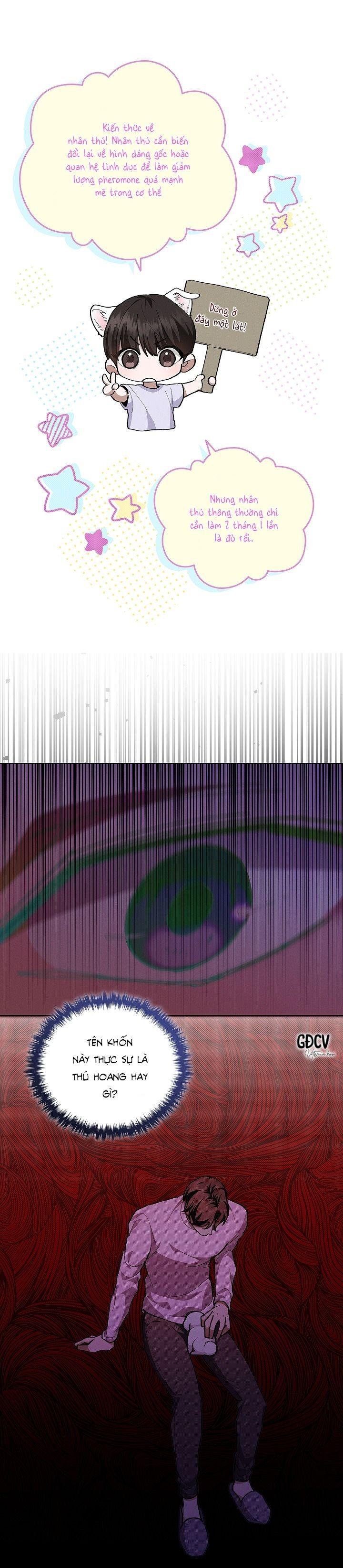 Đọc truyện ĐỪNG CHẠM VÀO CÚN CON CỦA TÔI - Chapter 7