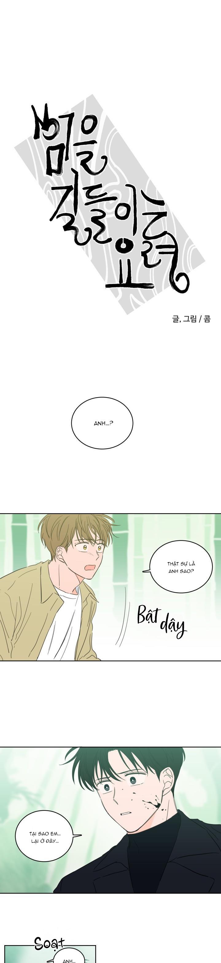 Đọc truyện Mẹo Thuần Hóa Hổ - Chapter 28