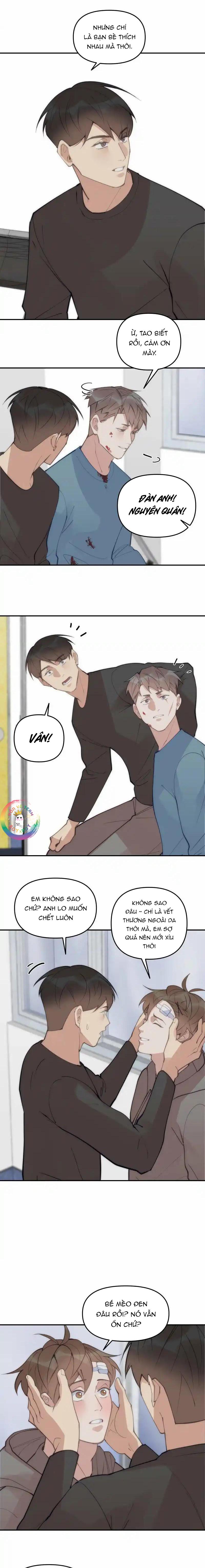Đọc truyện (END) Đàn Anh Sói Ca Cùng Phòng Của Tôi - Chapter 67