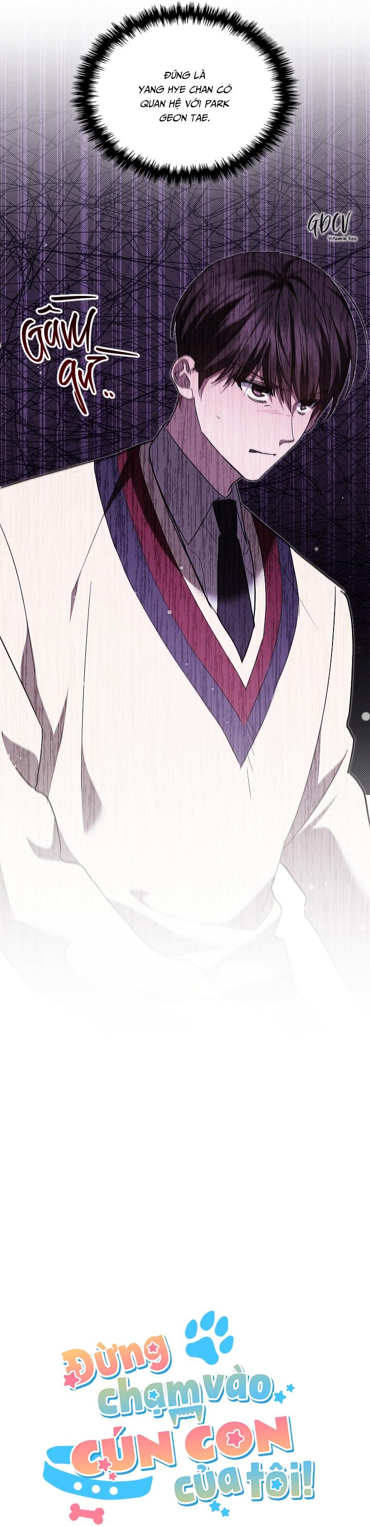 Đọc truyện ĐỪNG CHẠM VÀO CÚN CON CỦA TÔI - Chapter 33
