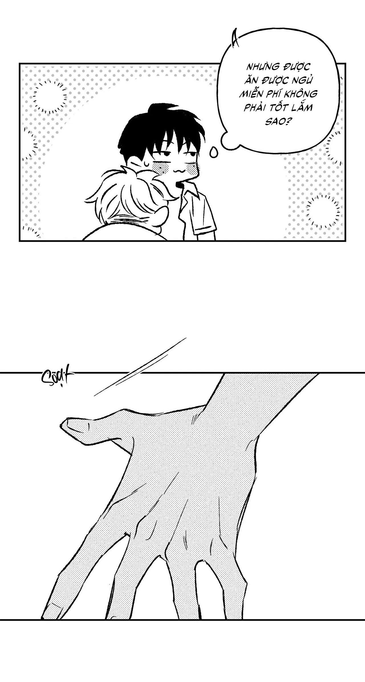 Đọc truyện  Sự kết hợp hoàn hảo - Chapter 33